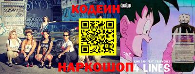МДПВ Славгород