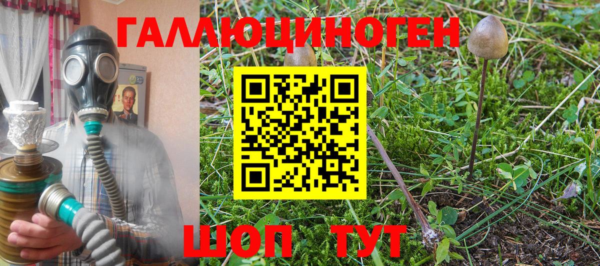 Галлюциногенные грибы Psilocybine cubensis  Вход с VPN  Павловский Посад 