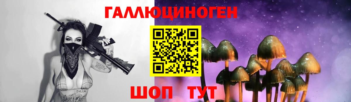 Псилоцибиновые грибы GOLDEN TEACHER Павловский Посад